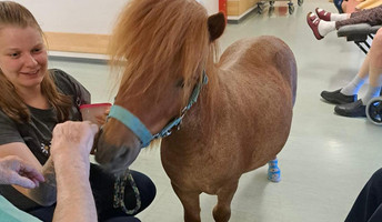 Ponybesuch im ProCurand Pflegestift St.Ulrich in Lam