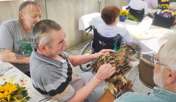 Gast der Herzen: Uhu Klaus zu Besuch beim Sommerfest im Seniorenzentrum Am Herzogschloss in Sulzbach-Rosenberg