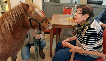 In der Seniorenresidenz Havelpalais treffen Senior*innen und Therapieponys aufeinander.