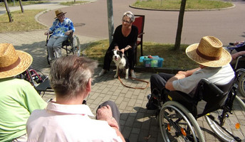 Australian Shepard zu Besuch in Halle; Seniorenresidenz Am Hufeiesensee 