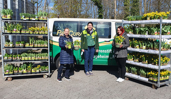 Großzügige Blumenspende von Pflanzen-Kölle