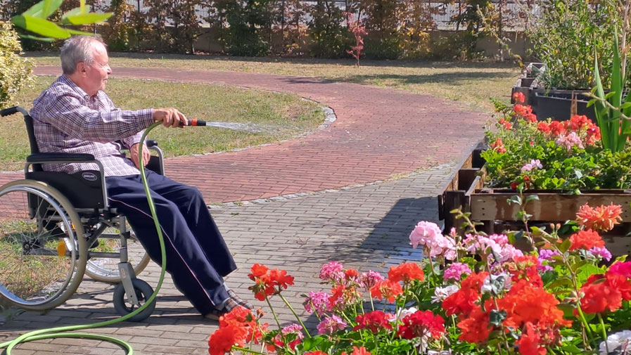 Ein Bewohner der ProCurand Seniorenresidenz Bölschestraße gießt liebevoll die Blumen im Demenzgarten