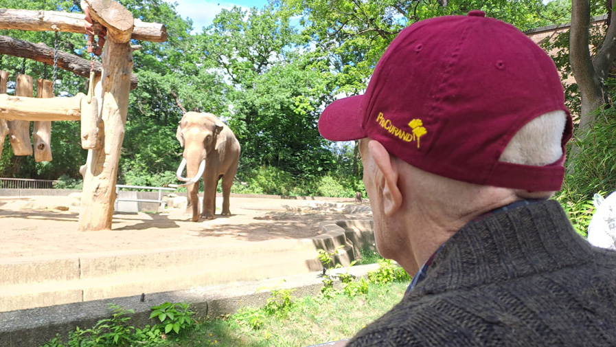 Bewohner der Seniorenresidenz Bölschestraße vor dem Elefantengehege im Berliner Zoo