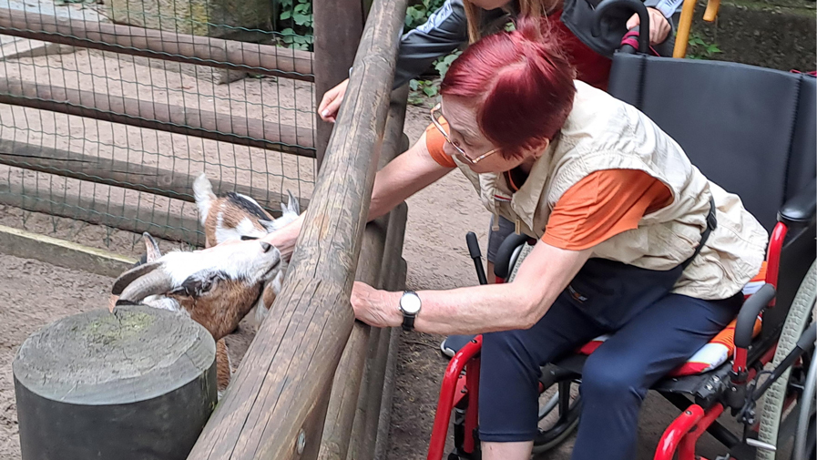 agesgast der ProCurand Tagespflege Strausberg im Zoo Eberswalde