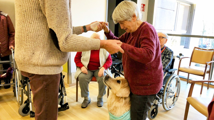 Quinn, der Besuchshund, sorgt für jede Menge Kuschelspaß in der ProCurand Seniorenresidenz Havelpalais – ein unvergesslicher Moment für die Bewohner*innen!